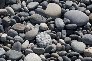 313-1696 Pebbles on the Beach